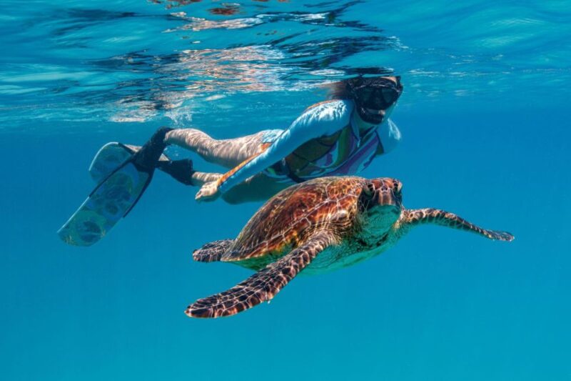From Bundaberg: Barrier Reef & Lady Musgrave Island Day Tour - Dining Experience