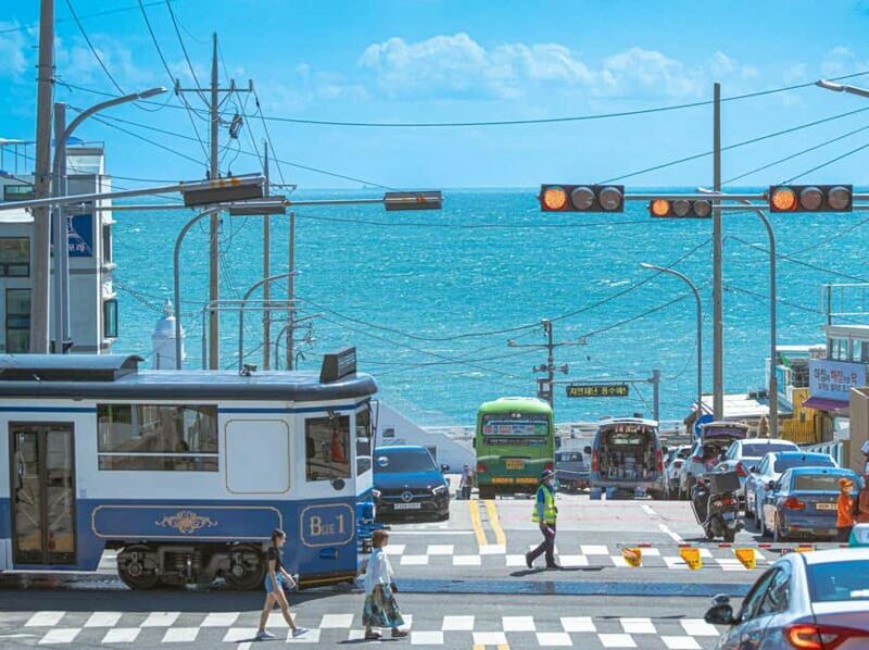 From Busan: Busan & Gyeongju One Day Tour - The Value of the Tour