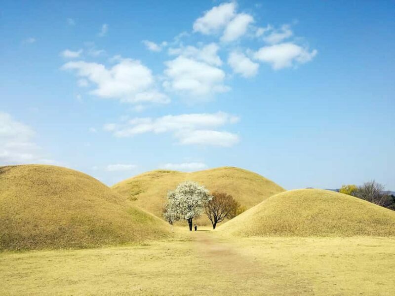 From Busan: Busan & Gyeongju One Day Tour - Who Will Love This Tour?