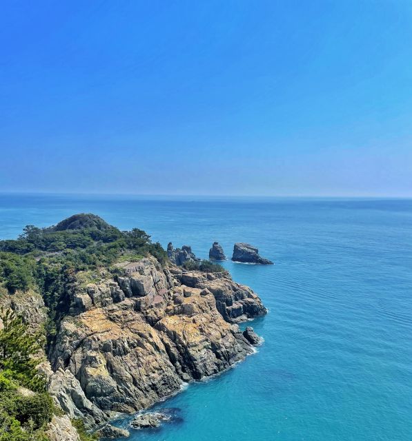 From Busan: Enchanting Oedo Botania Day Tour With Wind Hill - Oedo Island Exploration