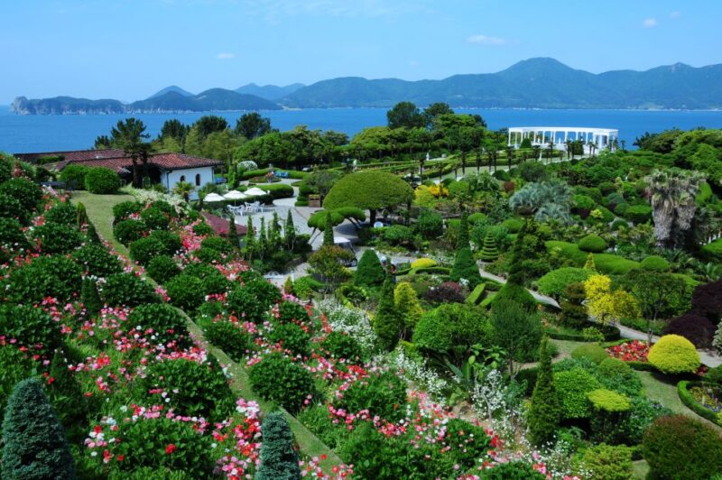 From Busan: Enchanting Oedo Botania Day Tour With Wind Hill - Dining Options