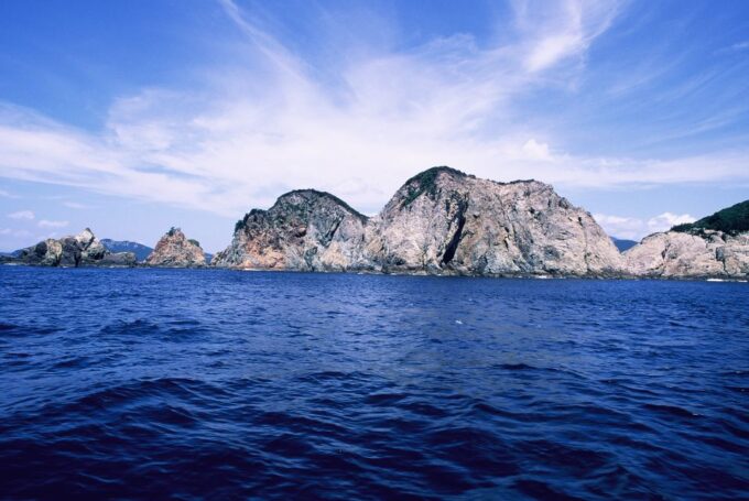 From Busan: Enchanting Oedo Botania Day Tour With Wind Hill - Transportation and Logistics