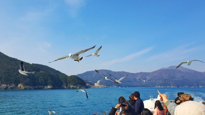 From Busan: Enchanting Oedo Botania Day Tour With Wind Hill - Frequently Asked Questions
