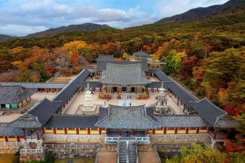 From Busan: Gyeongju Full-Day Historical Tour - An In-Depth Look at the Gyeongju Full-Day Tour