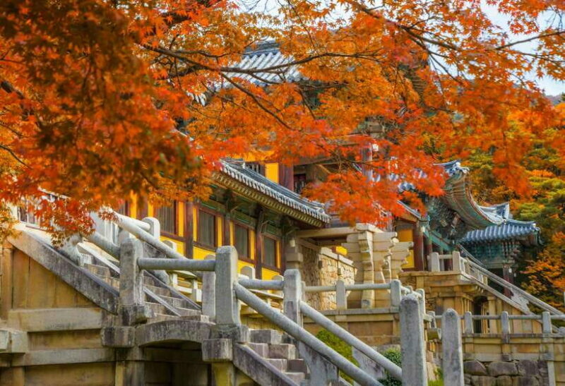 From Busan: Gyeongju UNESCO World Heritage Guided Day Tour - Key Points