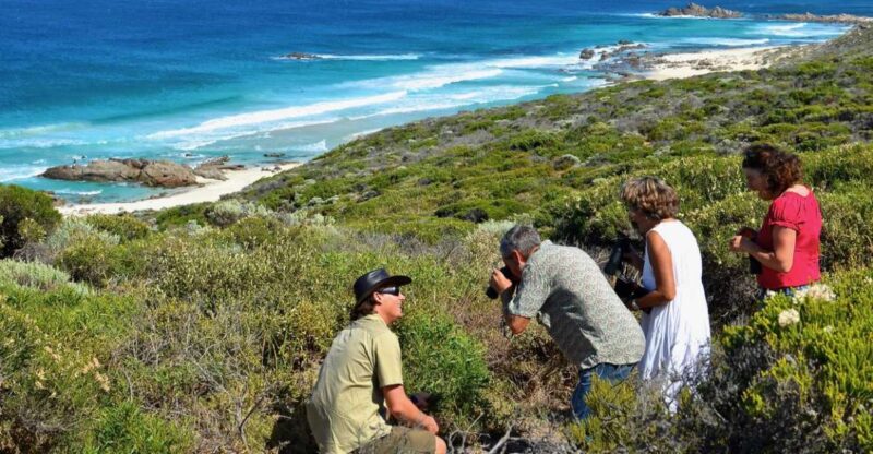 From Busselton: Half-Day Coastal and Wildlife Eco Tour - Experience Highlights