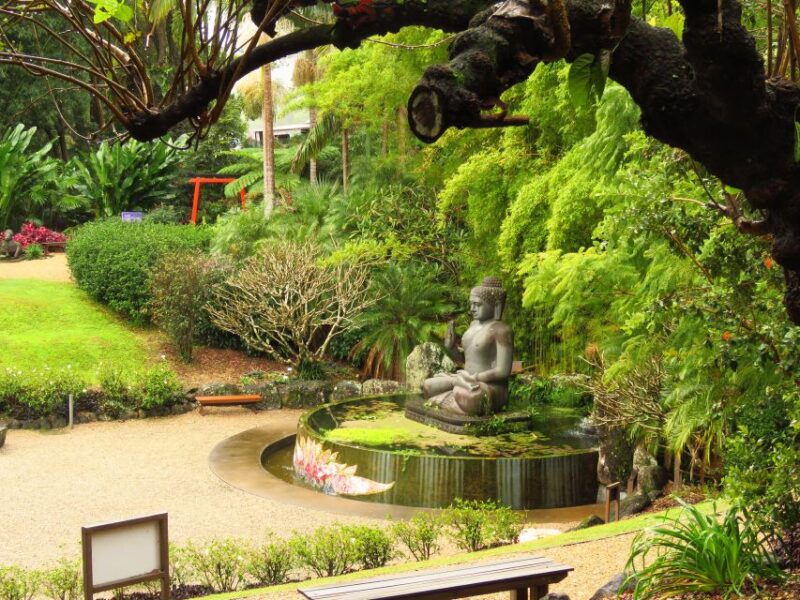 From Byron Bay: Half-Day Trip to Crystal Castle - Transportation and Access