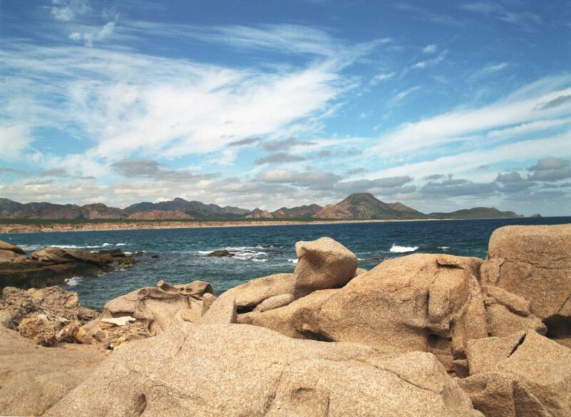 From Cabo: Cabo Pulmo Marine Park Snorkeling and Kayaking - Key Points