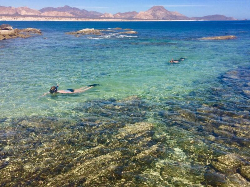 From Cabo: Cabo Pulmo Marine Park Snorkeling and Kayaking - Highlights and Experiences