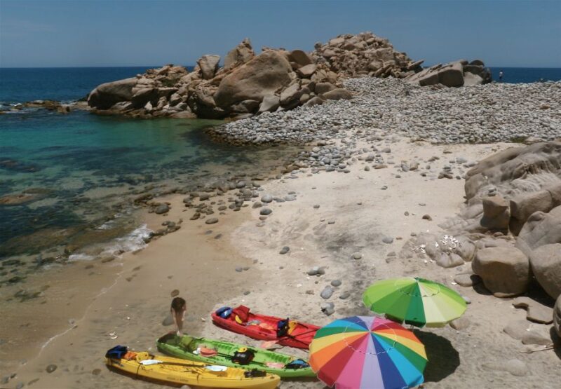 From Cabo: Cabo Pulmo Marine Park Snorkeling and Kayaking - Important Information