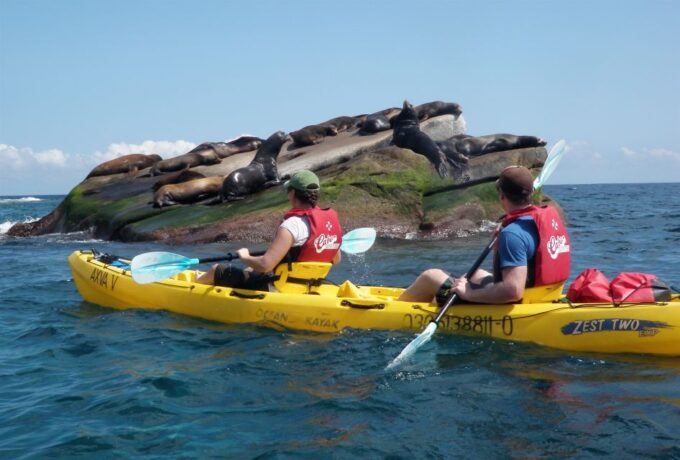 From Cabo: Cabo Pulmo Marine Park Snorkeling and Kayaking - Customer Reviews