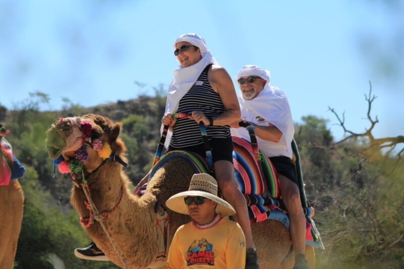 From Cabo: El Tule Canyon Camel Adventure - Highlights of the Experience