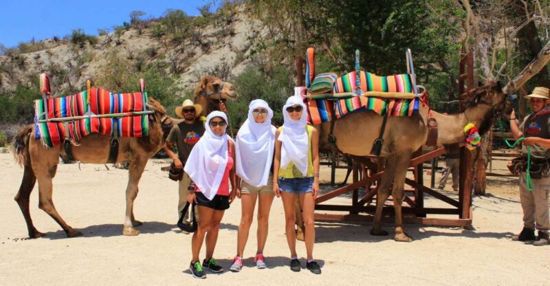 From Cabo: El Tule Canyon Camel Adventure - Camel Ride and Sanctuary