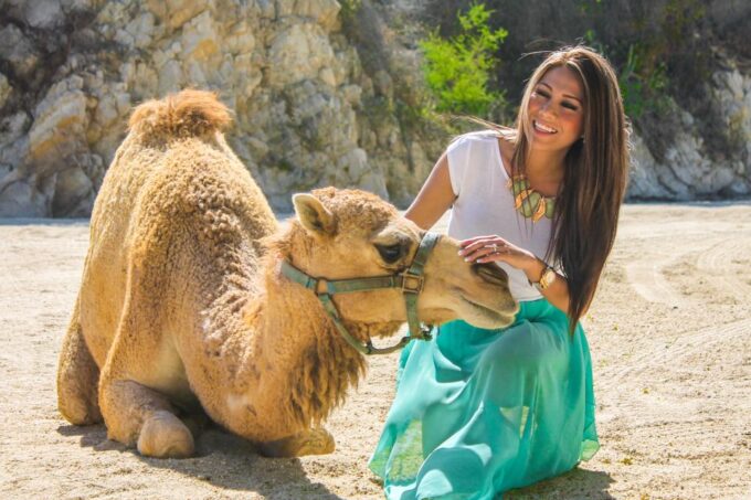 From Cabo: El Tule Canyon Camel Adventure - Cancellation and Refund Policy