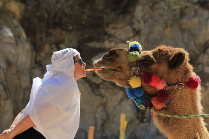 From Cabo: El Tule Canyon Camel Adventure - Customer Feedback and Ratings