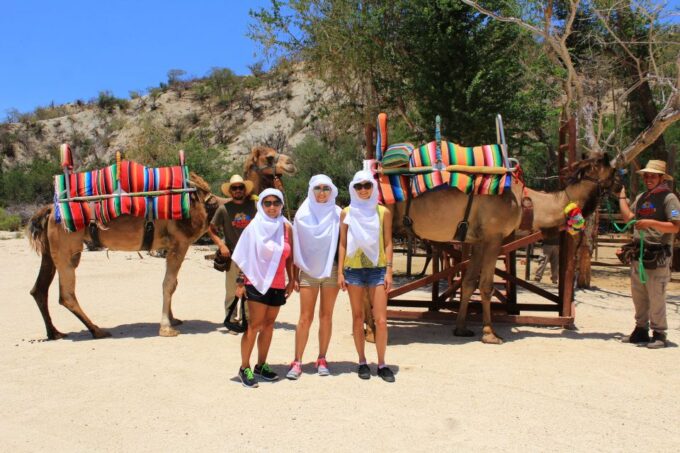 From Cabo: El Tule Canyon Camel Adventure - Frequently Asked Questions