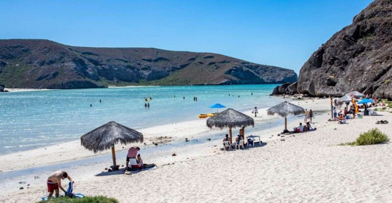 From Cabo San Lucas: La Paz and Todos Santos Day Trip - Key Points