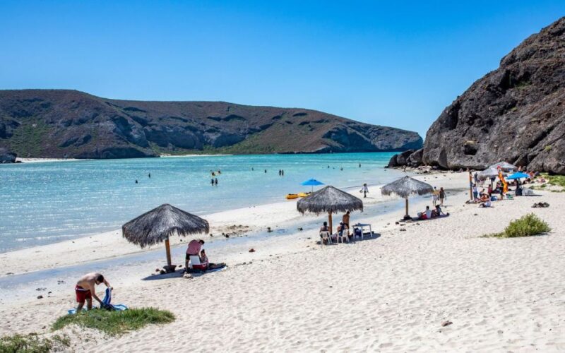 From Cabo San Lucas: La Paz and Todos Santos Day Trip - Itinerary Highlights