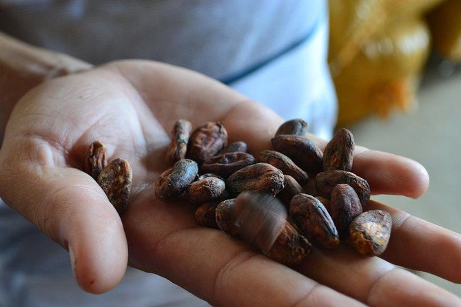 From Cacao to Chocolate: Private Tour in Manta - Key Points