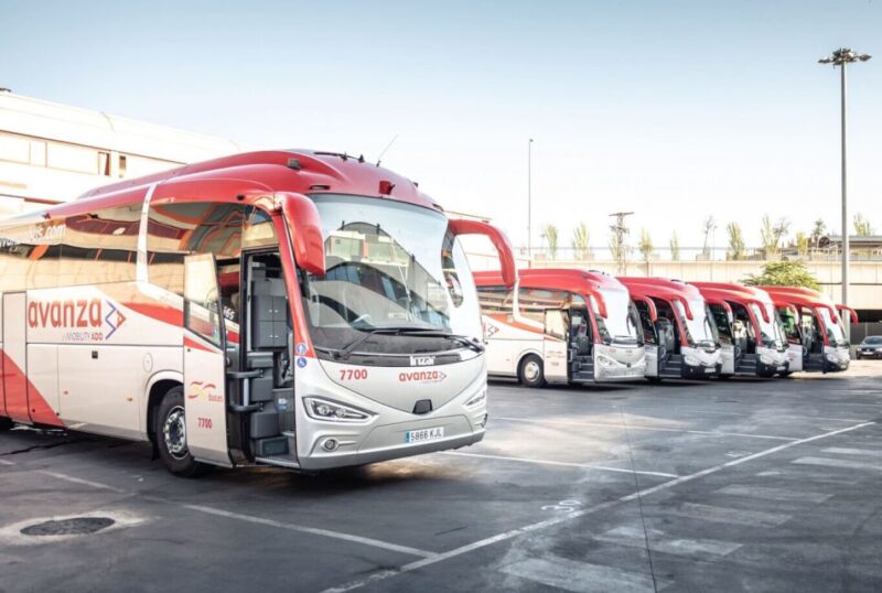 From Cádiz: 1-Way Bus Ticket to Málaga Airport or Vice Versa - Key Points