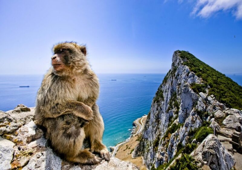 From Cadiz: Private Day Trip to Gibraltar and Bolonia - Exploring the Rock of Gibraltar