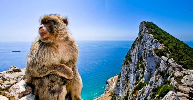From Cádiz: Private Day Trip to Gibraltar & Vejer Tour - Highlights of Gibraltar