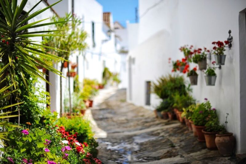 From Cádiz: Private Day Trip to Gibraltar & Vejer Tour - Discovering Vejer De La Frontera