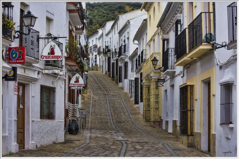 From Cadiz: Private Tour of Cadiz and Jerez De La Frontera - Cadiz Carnival Celebration