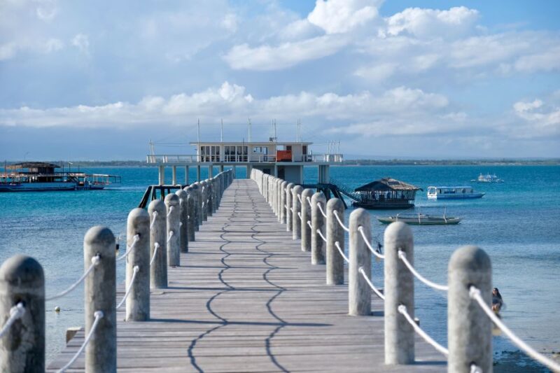 From Cadiz: Private White Villages and City Guided Tour - Key Points