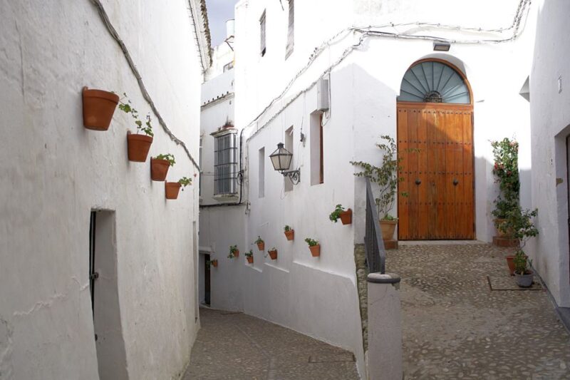 From Cadiz: Private White Villages and City Guided Tour - Highlights