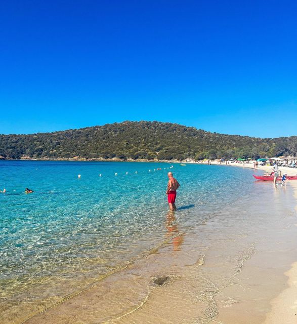 From Cagliari: Chia and Tuerredda Full-Day Guided Beach Tour - Customer Reviews and Ratings
