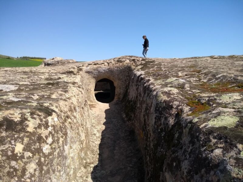 From Cagliari: Day Trip to Domus De Janas Fairy Houses - Highlights of the Experience