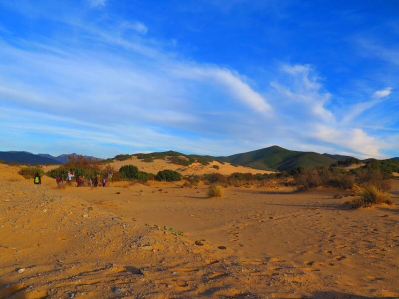 From Cagliari: Piscinas Old Mines and Montevecchio Tour - Key Points