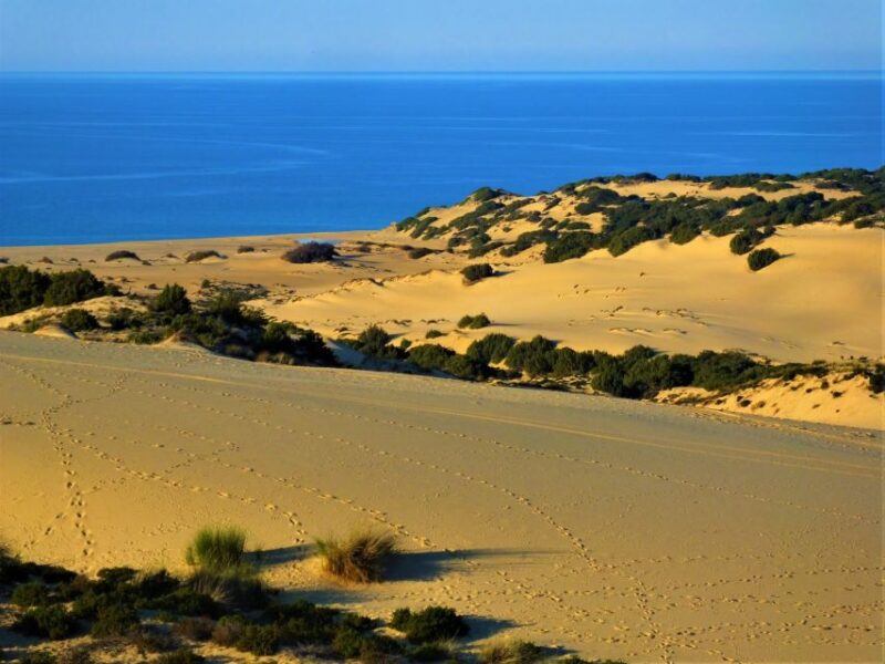 From Cagliari: Piscinas Old Mines and Montevecchio Tour - Experience Highlights