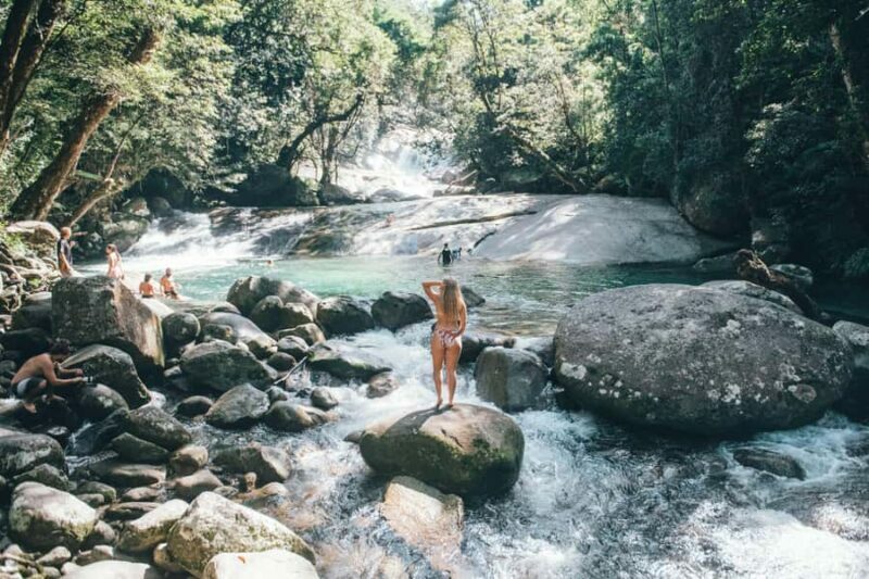 From Cairns: 2-Day Waterfall and Daintree Tour - The Daintree Rainforest and Cape Tribulation Day