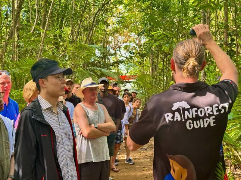 From Cairns: 2-Day Waterfall and Daintree Tour - Frequently Asked Questions