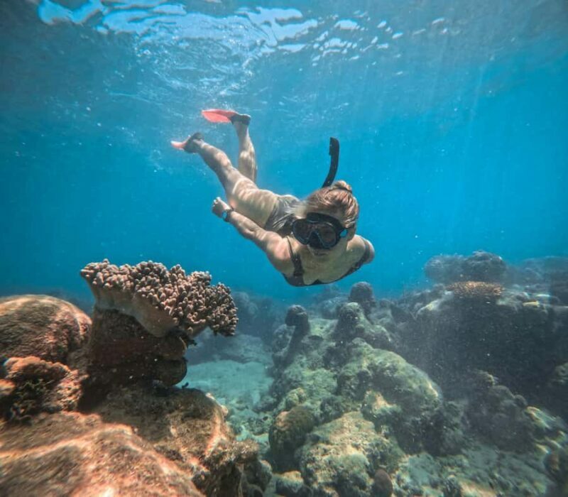 From Cairns: 2 Islands 1 day - Fitzroy & Green Islands - Key Points