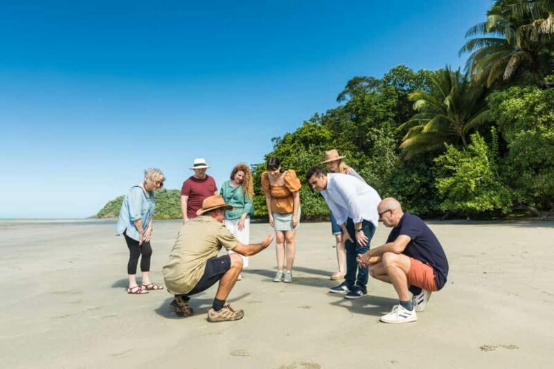 From Cairns: 3-Day Reef, Rainforest, and Outback Package - The 3-Day Itinerary Breakdown