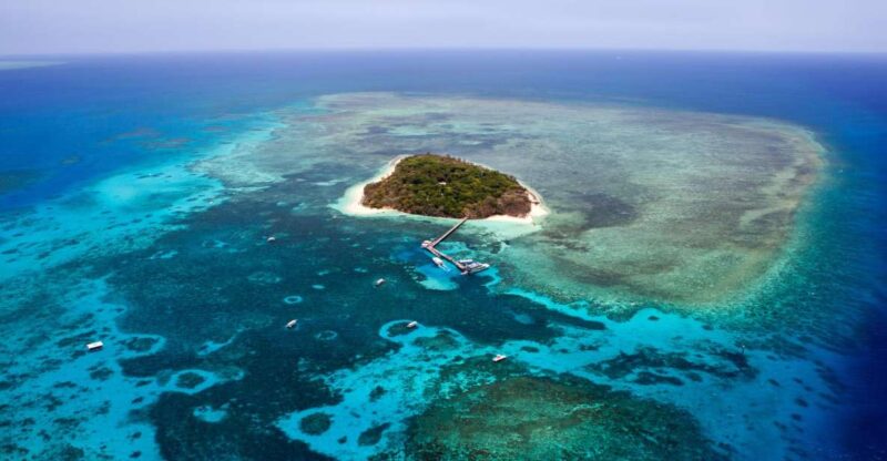 From Cairns: 40-Min Scenic Reef Window Seat Airplane Flight - Key Points