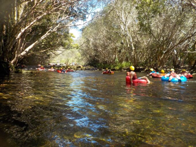 From Cairns and Northern Beaches: Rainforest River Tubing - Duration and Pricing