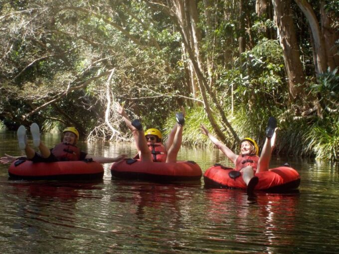 From Cairns and Northern Beaches: Rainforest River Tubing - Recap