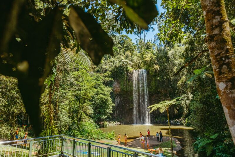 From Cairns: Atherton Tableland Wilderness Tour With Lunch - Key Points