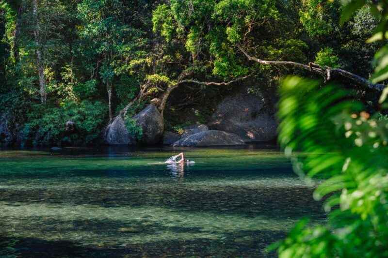 From Cairns: Atherton Tableland Wilderness Tour With Lunch - Itinerary Highlights