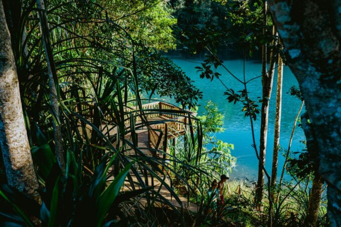 From Cairns: Atherton Tableland Wilderness Tour With Lunch - Recap