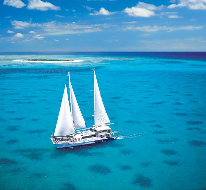 From Cairns: Cruise to Michaelmas Cay With Water Activities - Key Points