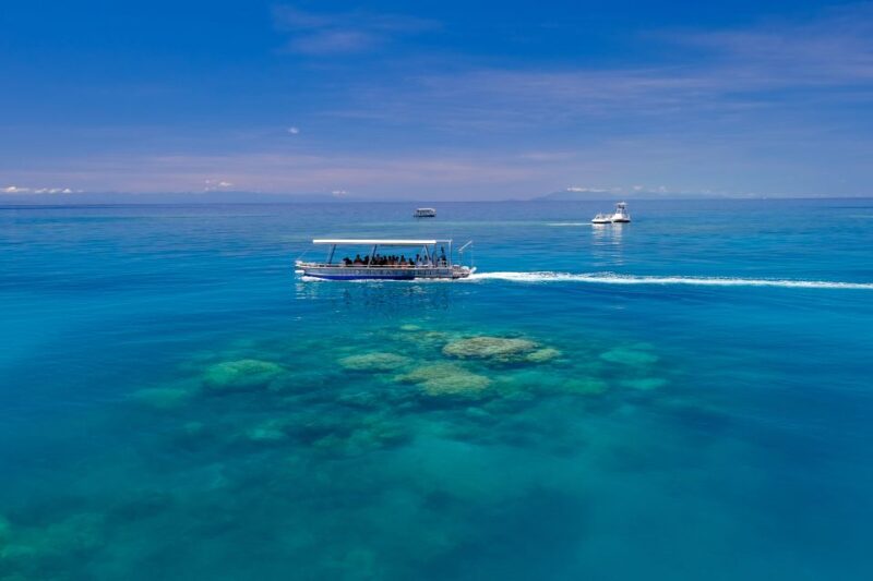 From Cairns: Cruise to Michaelmas Cay With Water Activities - Combination of Motor and Sailing