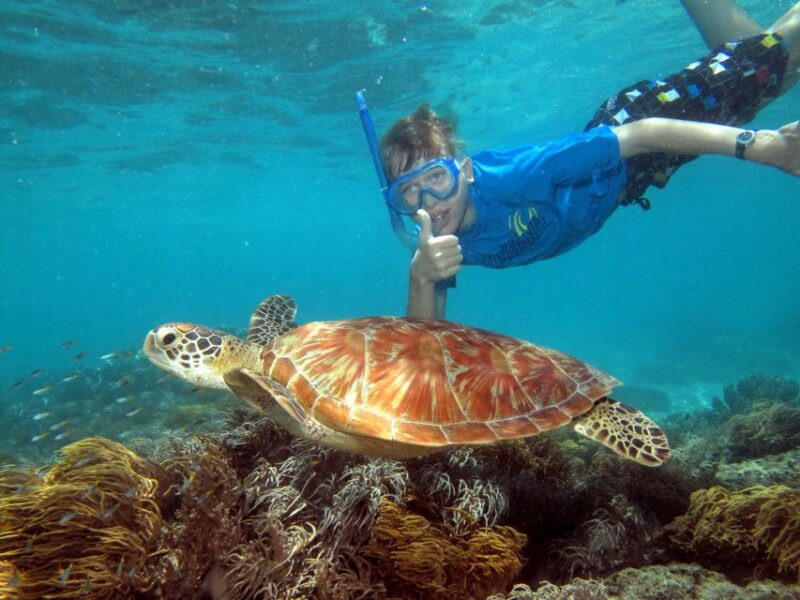From Cairns: Cruise to Michaelmas Cay With Water Activities - Sparkling Wine, Cheese, and Biscuits