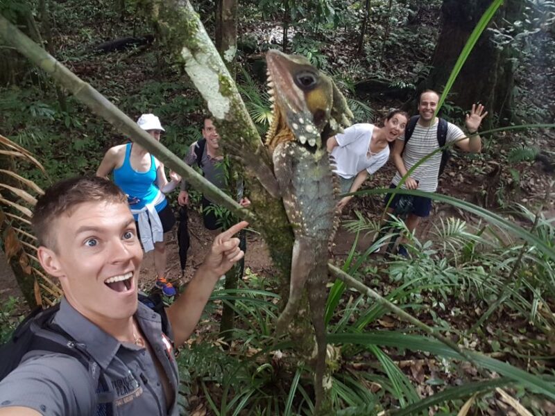 From Cairns: Daintree National Park Private Tour - Exclusions for the Tour