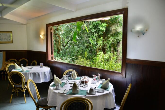 From Cairns: Daintree National Park Private Tour - Frequently Asked Questions
