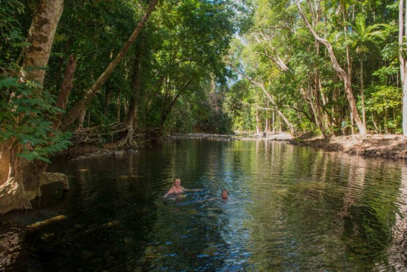 From Cairns: Daintree Rainforest & Cape Tribulation 4WD Tour - Exploring Daintree Rainforest Boardwalk